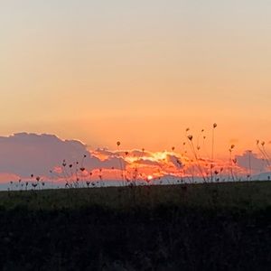 Meet your Posher, Kameron